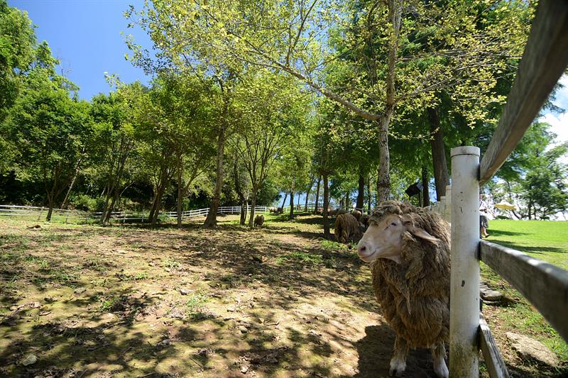 A Trip with Romantic and Pristine Views  Daxi is so beautiful