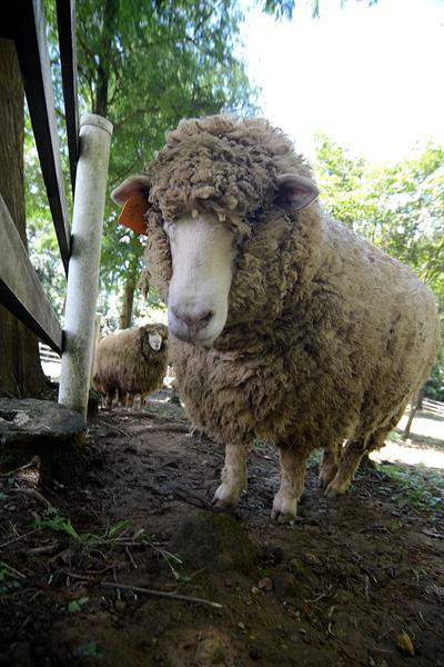 A Trip with Romantic and Pristine Views  Daxi is so beautiful