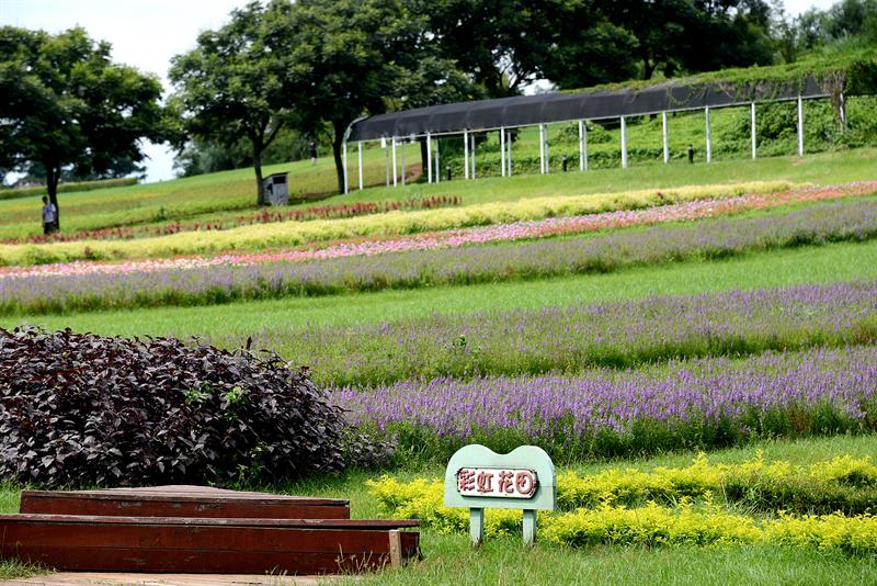 ロマンと原始風貌の旅。大渓はとても美しい。