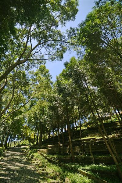 ロマンと原始風貌の旅。大渓はとても美しい。