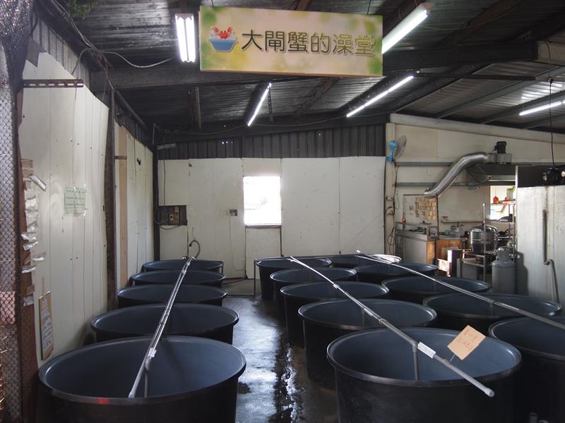 “Xie-Xie”with CRABS: Tasting Delicious Hairy-fisted Crab in Taichung!