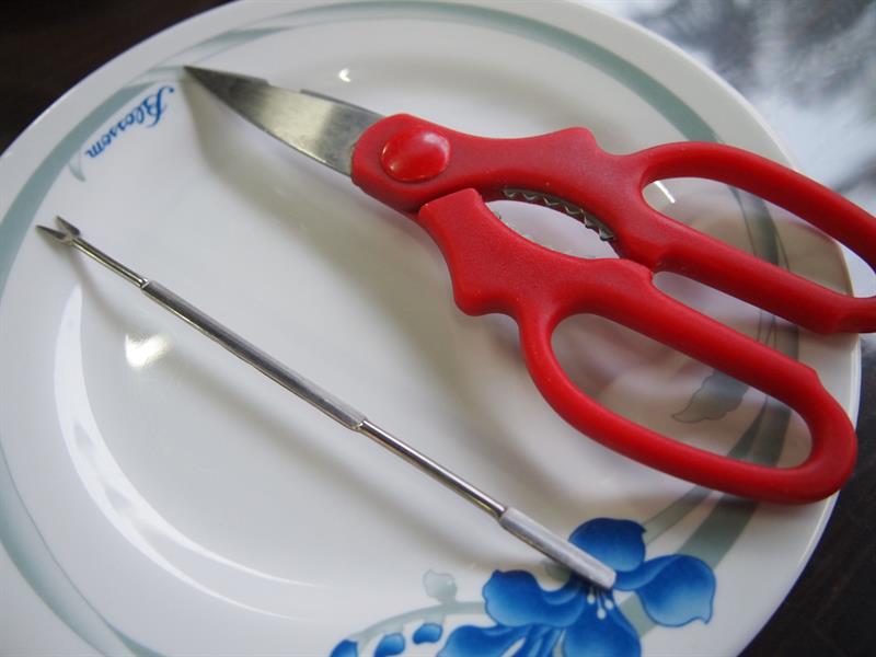 “Xie-Xie”with CRABS: Tasting Delicious Hairy-fisted Crab in Taichung!