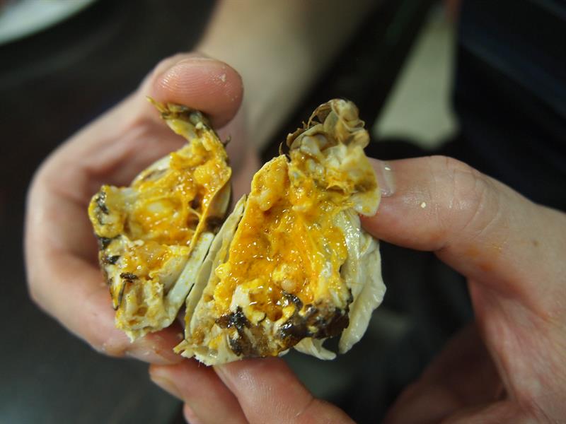 “Xie-Xie”with CRABS: Tasting Delicious Hairy-fisted Crab in Taichung!