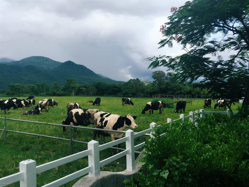 Rediscover the Vitality in Back Mountains! How Beautiful Hualien Is!