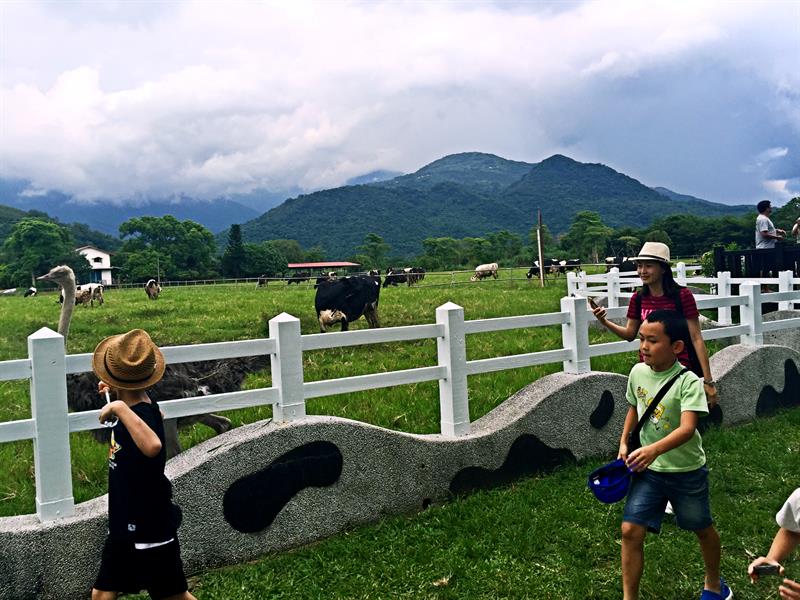 Rediscover the Vitality in Back Mountains! How Beautiful Hualien Is!