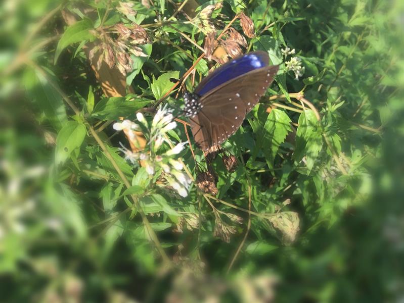 Rediscover the Vitality in Back Mountains! How Beautiful Hualien Is!