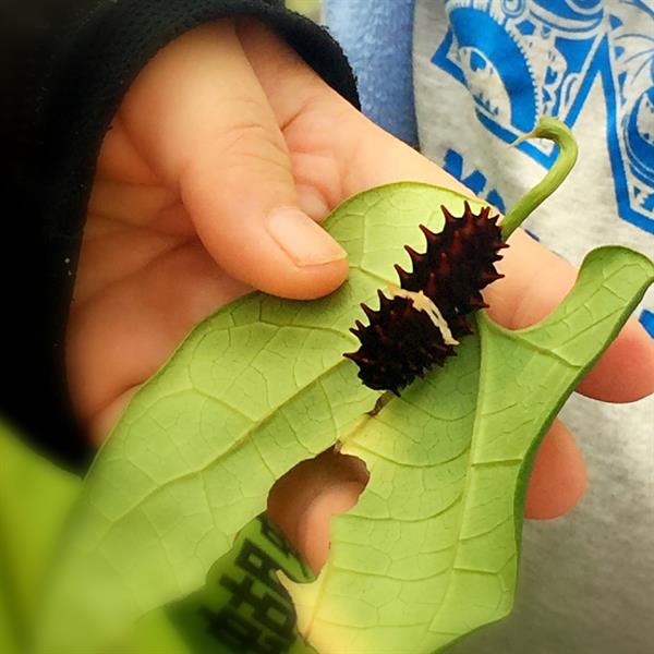 Rediscover the Vitality in Back Mountains! How Beautiful Hualien Is!