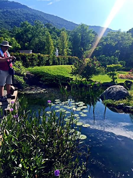 Rediscover the Vitality in Back Mountains! How Beautiful Hualien Is!