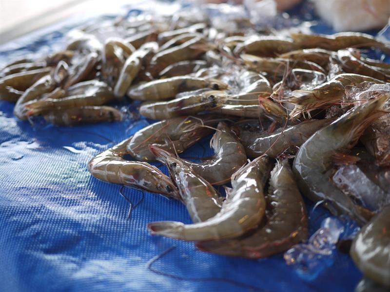 Rediscover the Vitality in Back Mountains! How Beautiful Hualien Is!