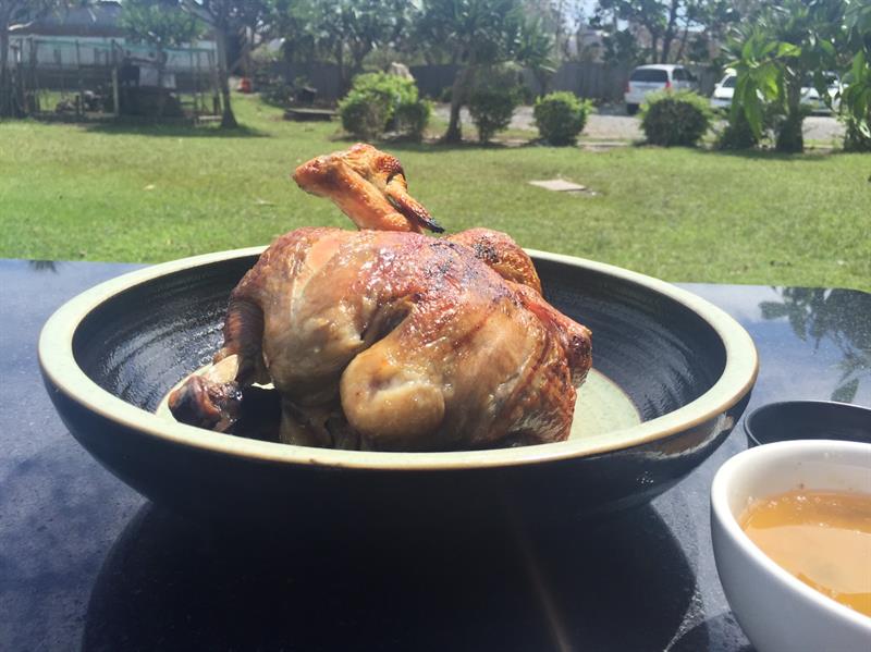 Rediscover the Vitality in Back Mountains! How Beautiful Hualien Is!