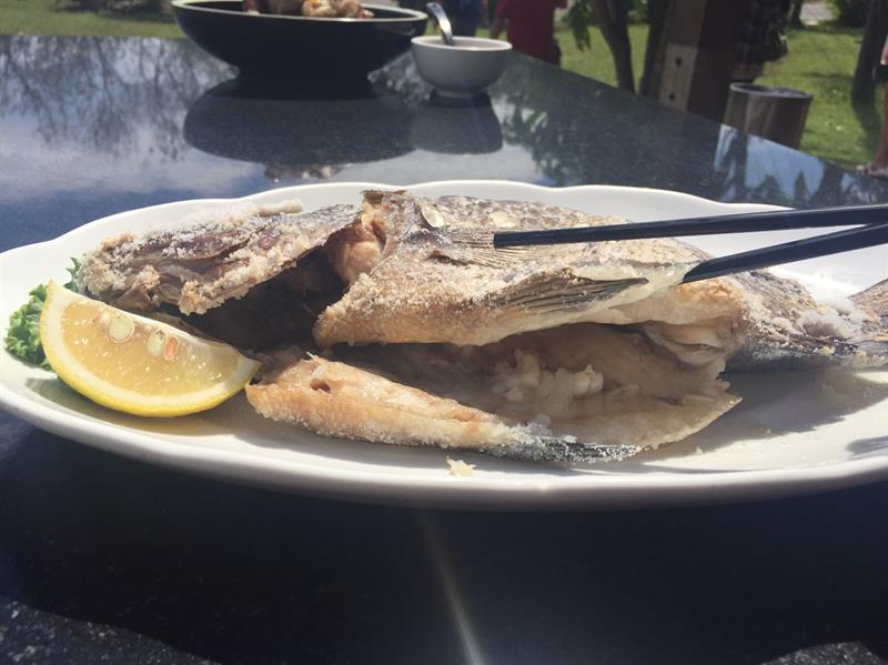 Rediscover the Vitality in Back Mountains! How Beautiful Hualien Is!