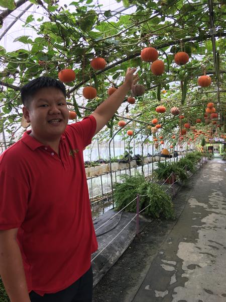 Young People Returning Home: Fresh Troops of Leisure Agriculture