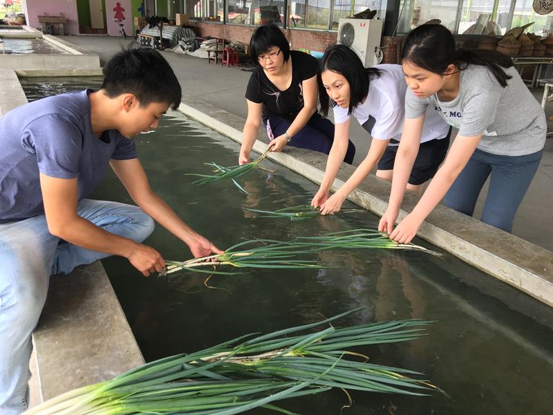 Young People Returning Home: Fresh Troops of Leisure Agriculture