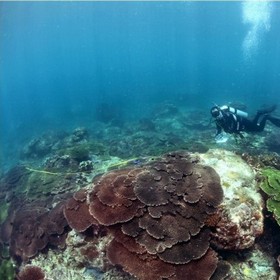 潛進澎湖南方四島國家公園 