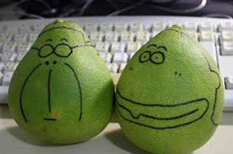 西湖鄉-鄉村鐡馬老街探索+柚子彩繪DIY活動