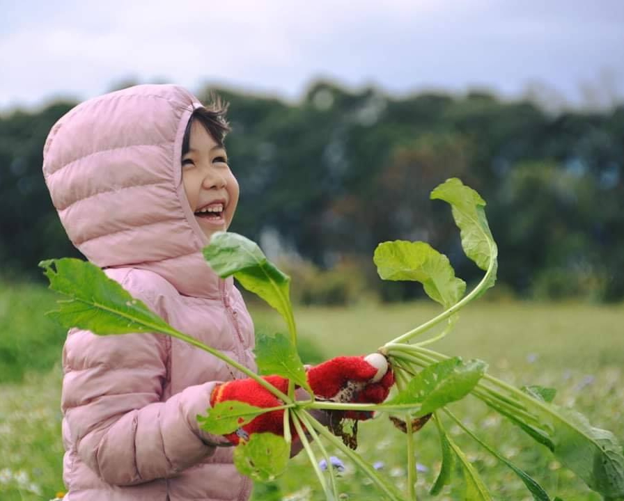 1-3月「花東米其鄰五顆星活動及遊程」