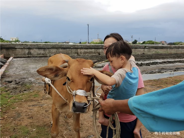 時潮休閒農業區「牛發春・春耕體驗」