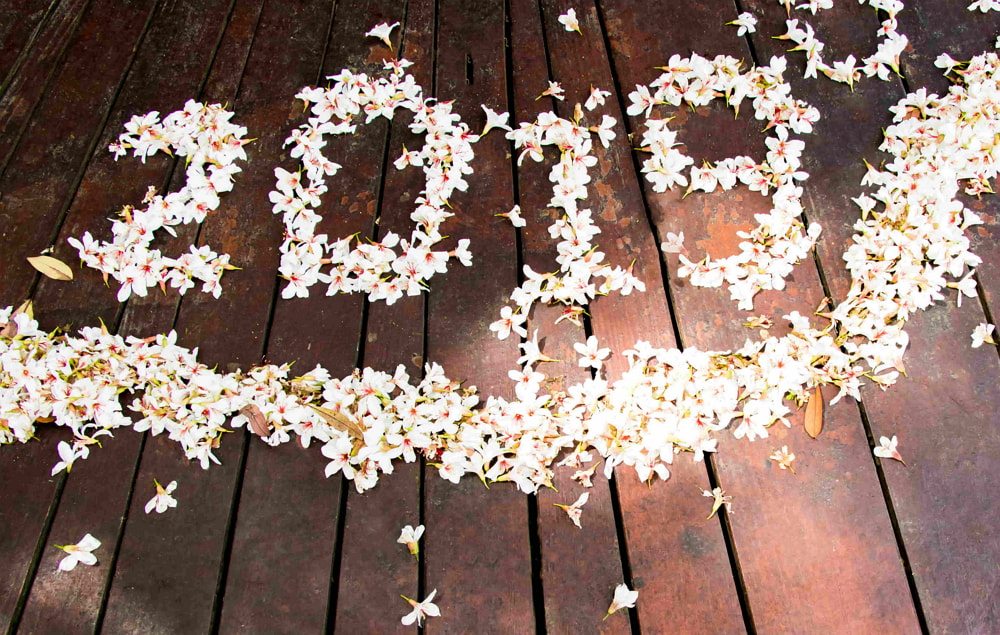 2019全台賞桐花懶人包！新北、新竹、苗栗等地推薦景點