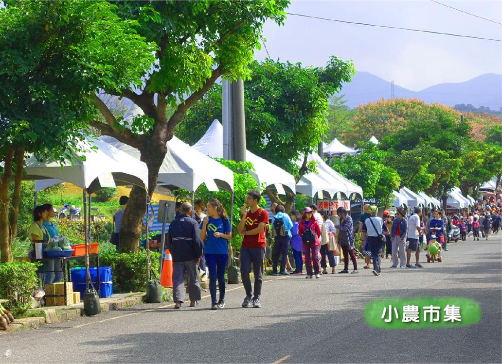 茭心好食光-2019新北市茭白筍節 