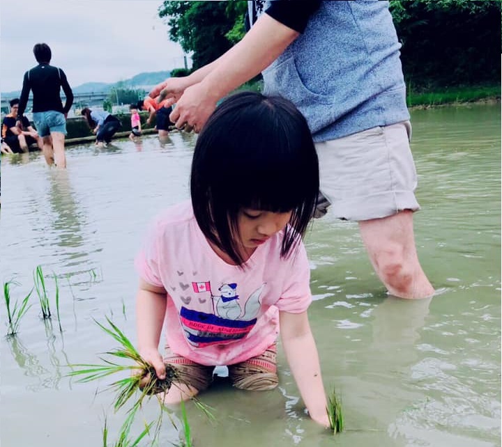 愛泥愛泥稻田饗宴