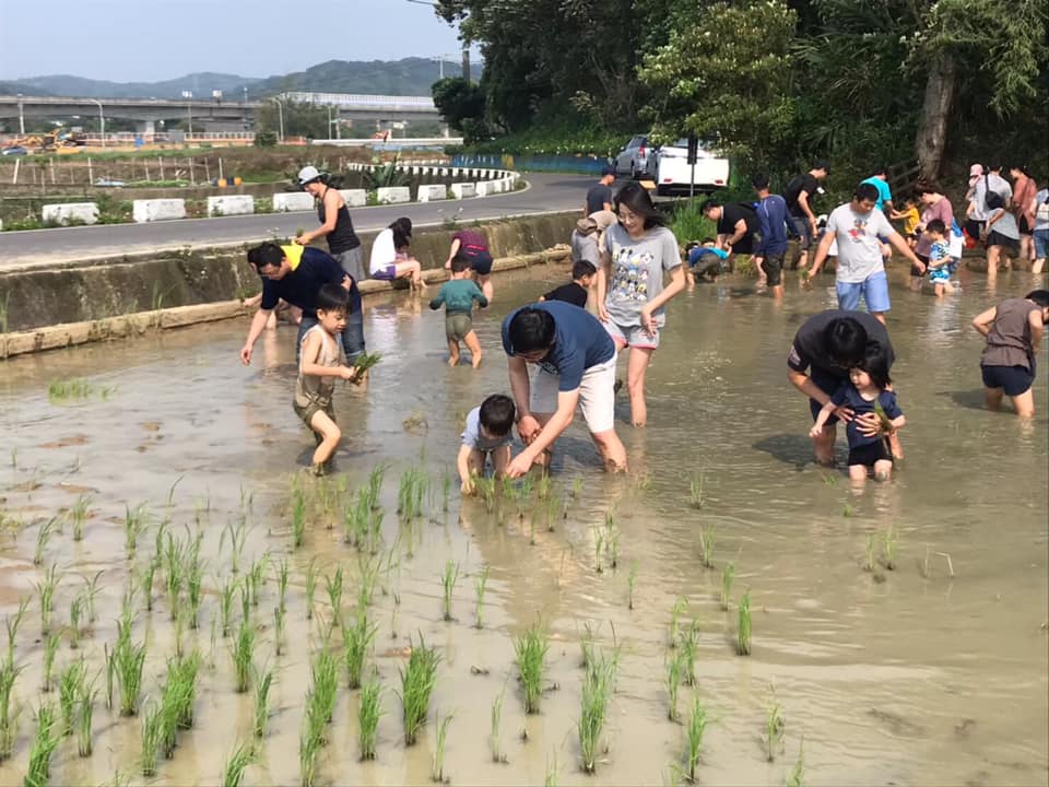 愛泥愛泥稻田饗宴