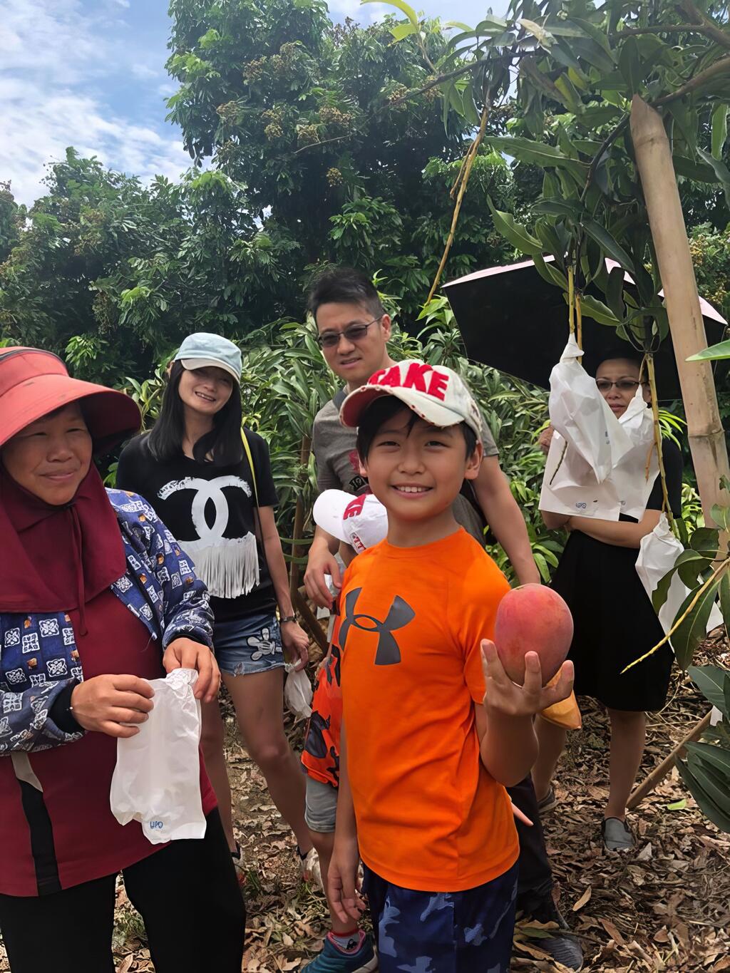 台南國際芒果節