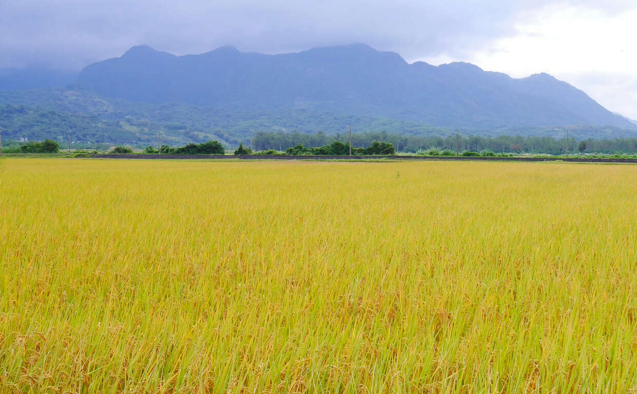 東豐拾穗農場(圖片來源:台灣休閒農業發展協會)