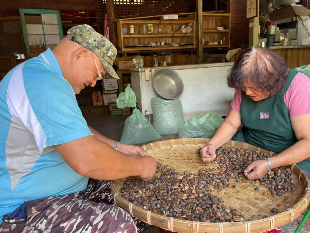 11苦茶籽油職人