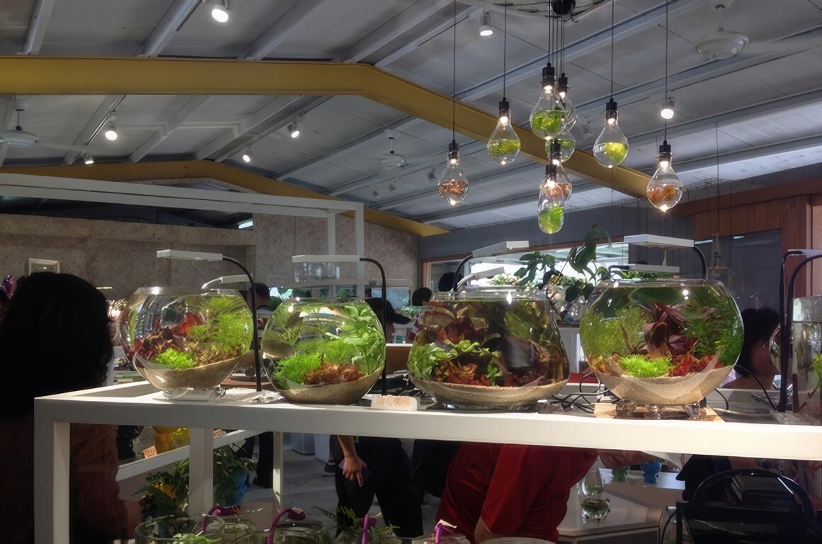 知識趣味的水草生態球 DIY