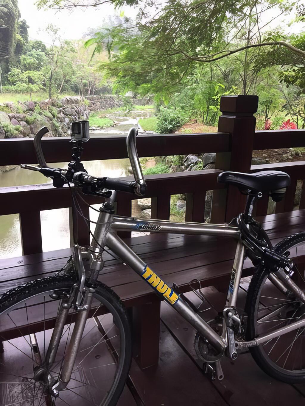 楓香氛圍 十二寮自行車道