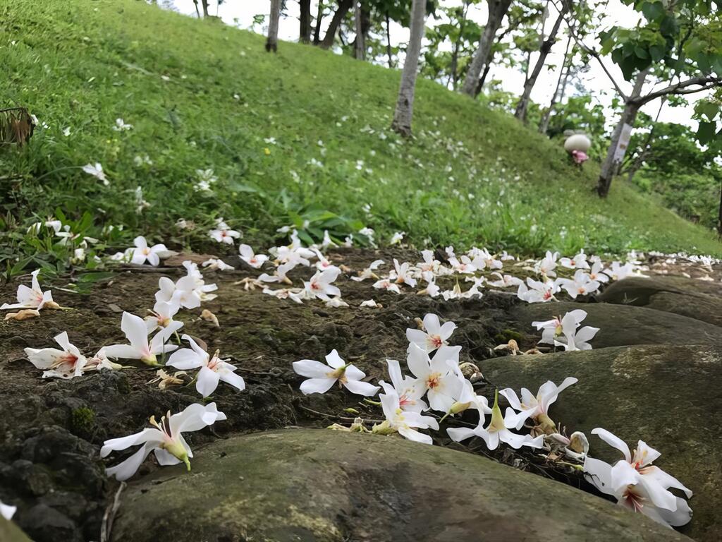 文／資深編輯郭雪瑤、資深文案編輯Kali