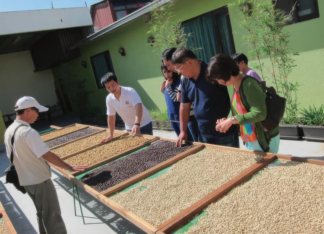 大林休閒農業區