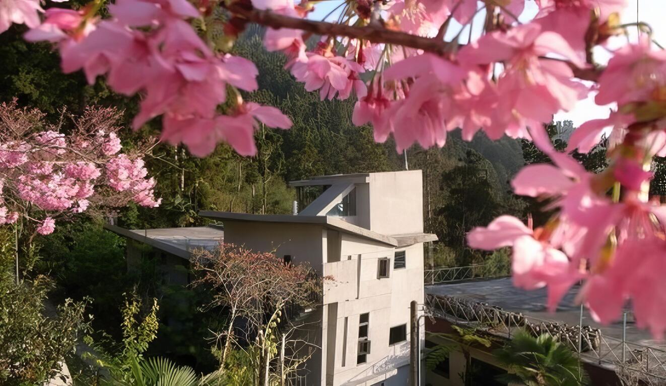 [嘉義]龍雲休閒農場