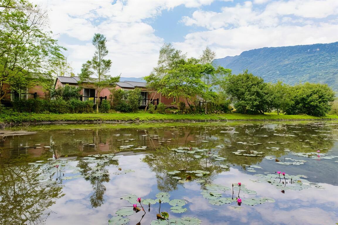 [花蓮]小雨蛙有機生態農場