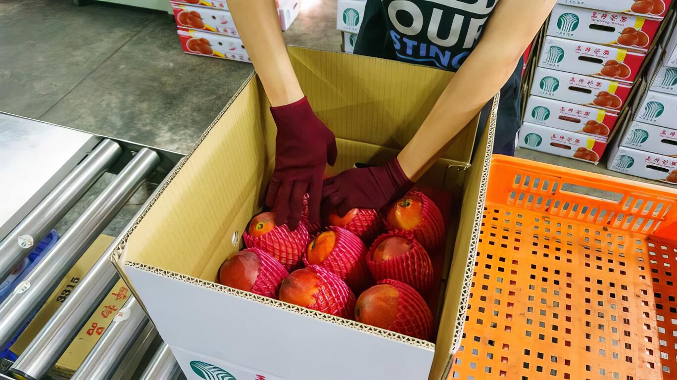 圖說：裝箱後準備出貨。