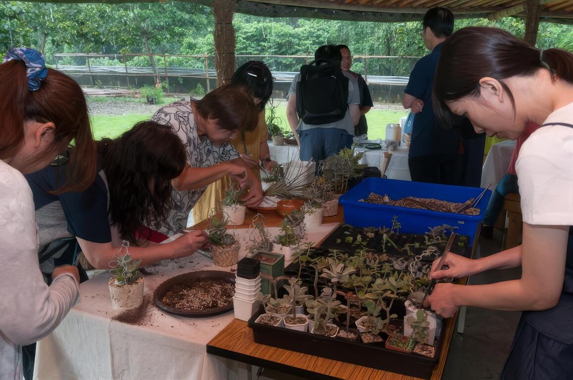 聽老闆分享仙人掌科植物的故事