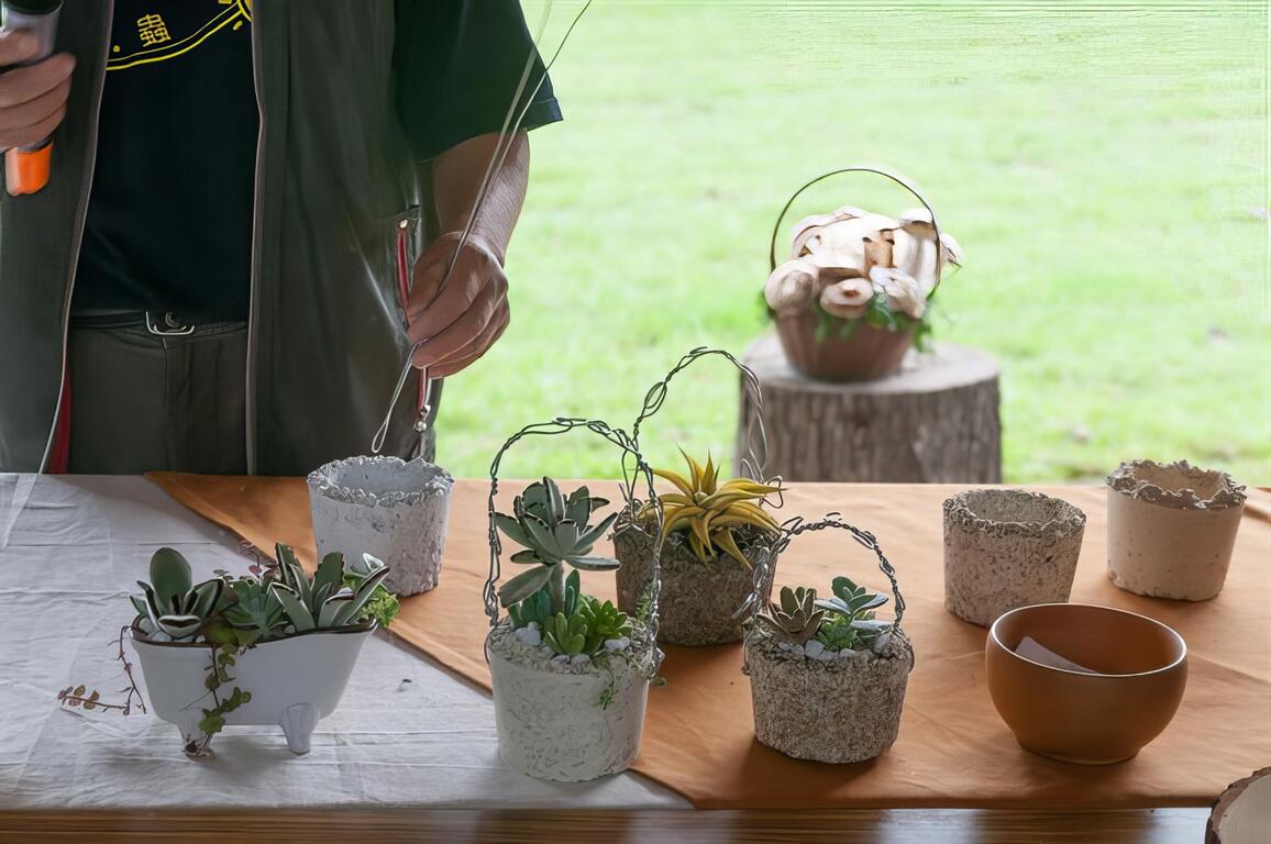 動手做一盆盆多肉植物栽培