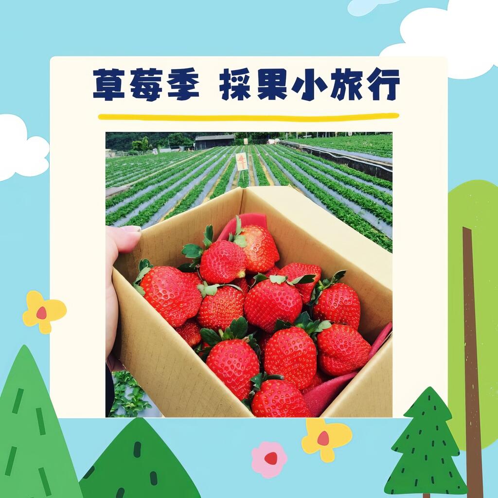 草莓季採果小旅行