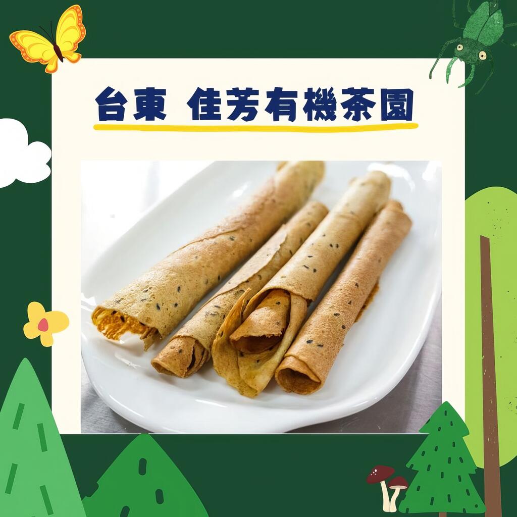 台東- 佳芳有機茶園區