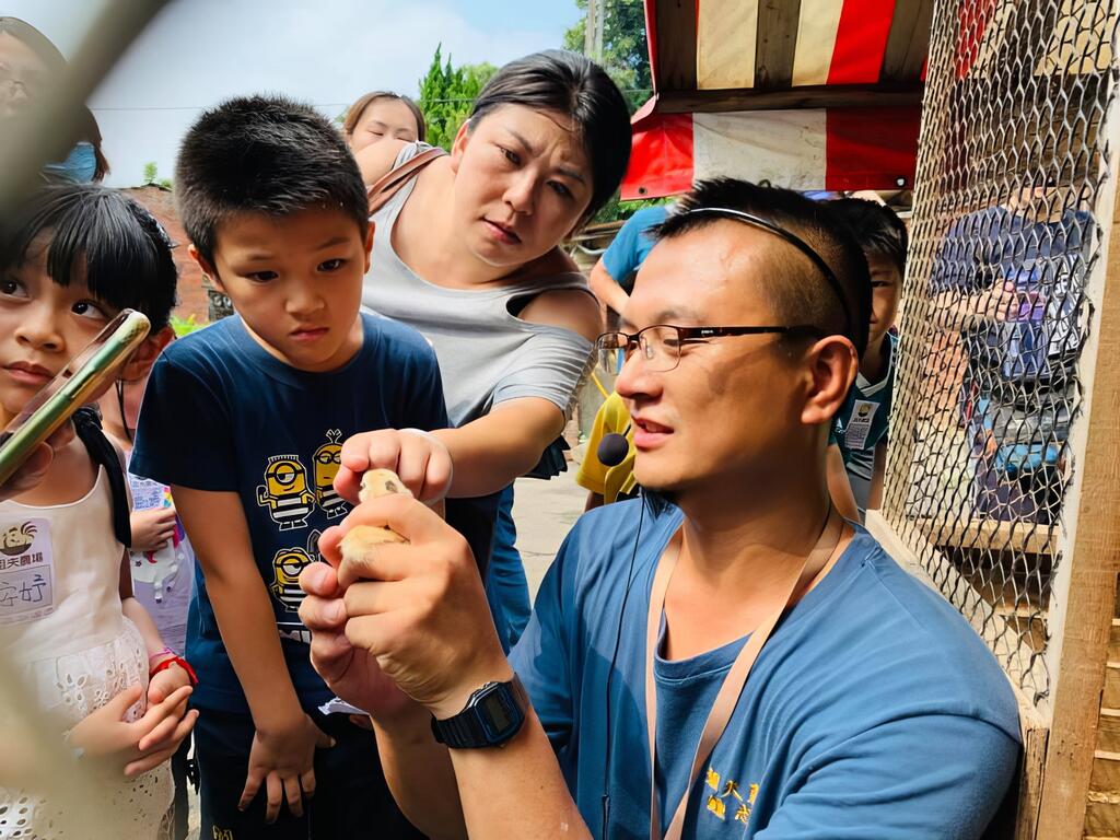 專心聆聽導覽員介紹飼養小雞的相關知識。