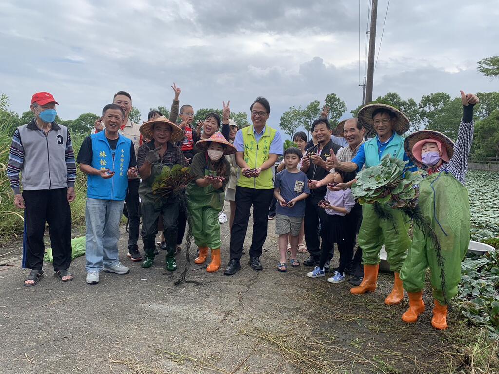 有善種植菱角無毒盛產