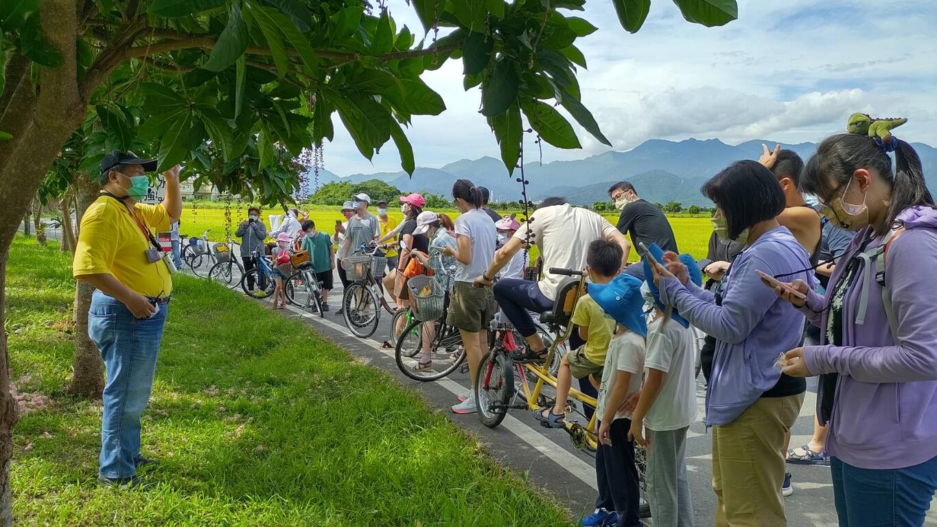 五十二甲濕地-穗花棋盤腳/導覽解說