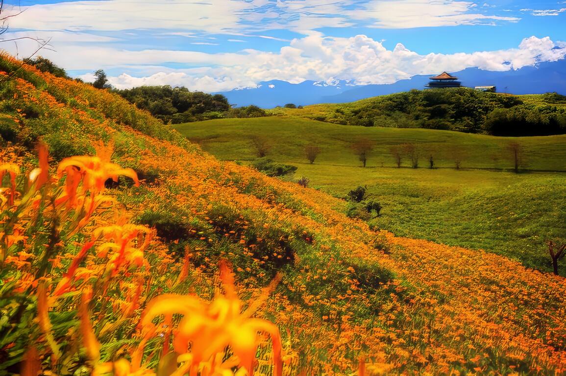 文／資深網路新聞編輯 Libra Shen