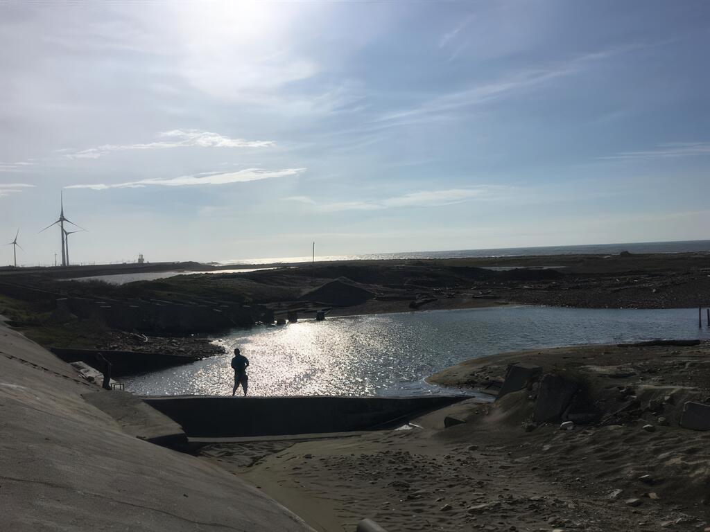 招潮蟹帶路 認識濱海風情