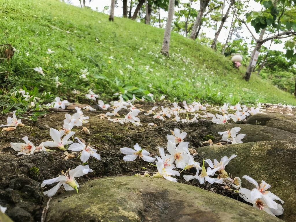 文/ 資深文案編輯Kali