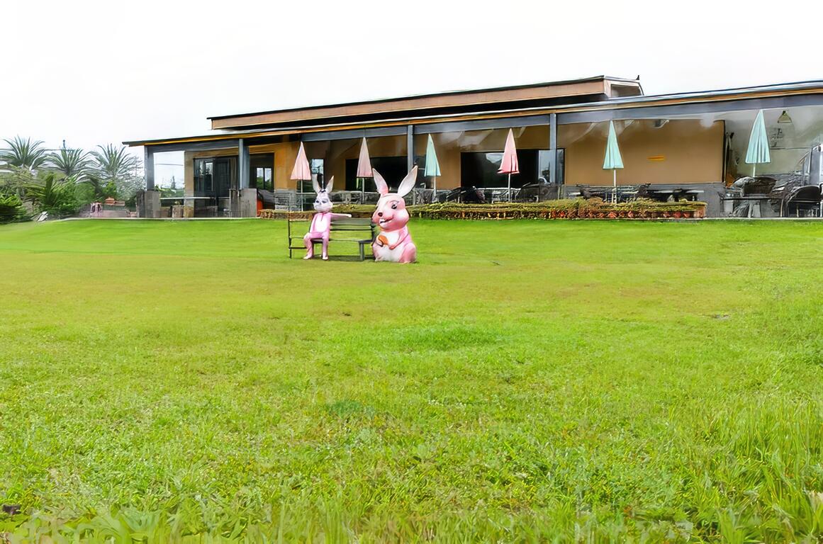 農場有草皮可讓小朋友玩耍