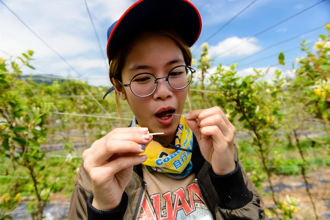 晶瑩剔透的花蜜在花蕊上,放進嘴裡是一點點甜味。