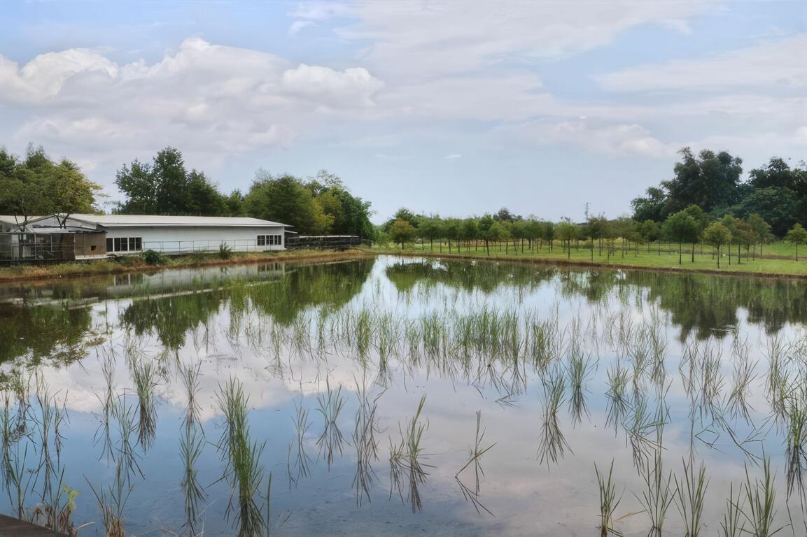橫山頭休閒農業區