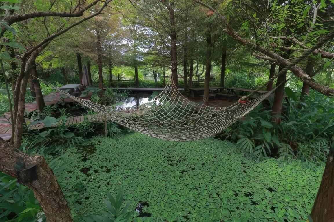 圖說：農場培育各種水生植物