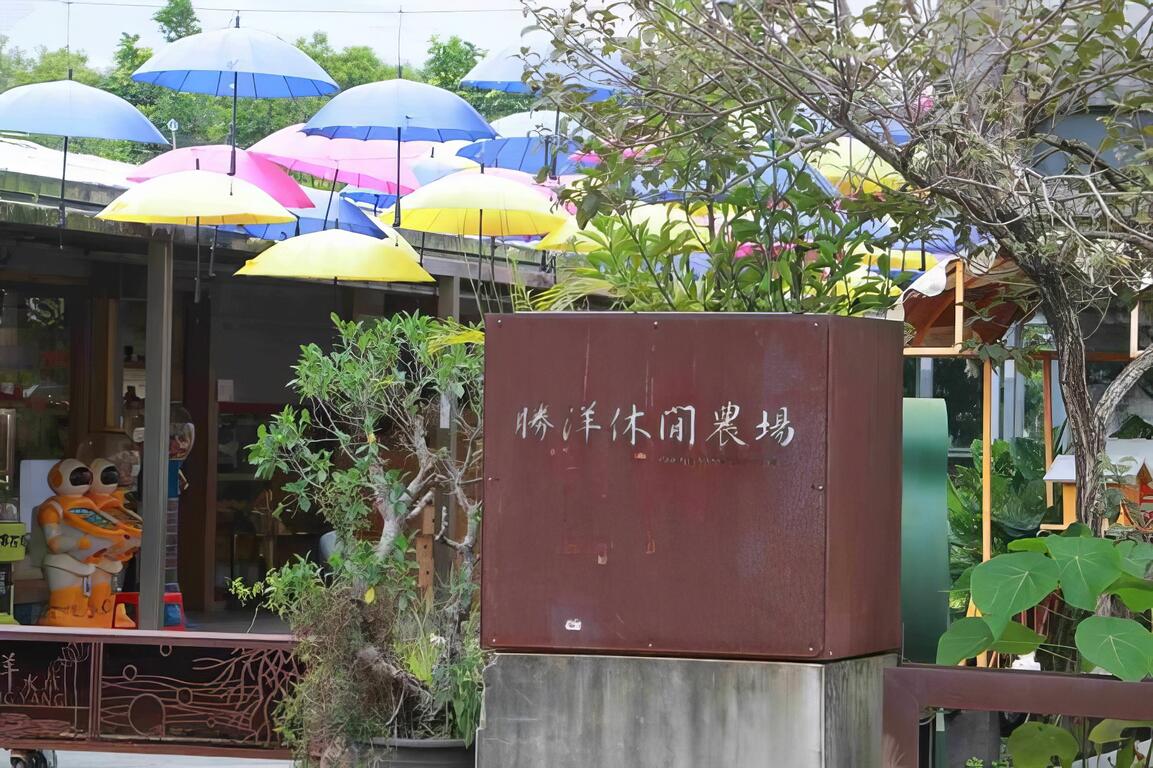 圖說：全國最大規模的水草栽培場